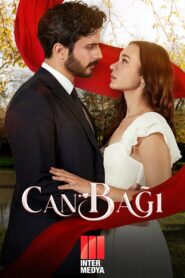 Сердечные струны / Струны души / Струны любви (2025)