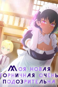 Моя новая горничная очень подозрительна (2022)