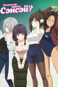 Почему вы здесь, сэнсэй? (2019)