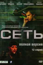 Сеть (2008)