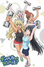 Насколько тяжёлые гантели ты сможешь поднять? (2019)