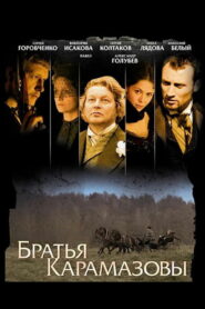 Братья Карамазовы (2009)