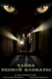 Тайна тёмной комнаты (2014)