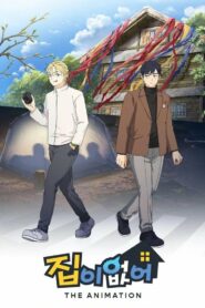 집이 없어 (2024)