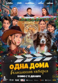 Одна дома. Великолепная пятерка (2024)