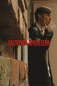 Ласточки прилетели (2007)