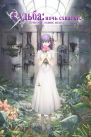 Судьба/Ночь схватки: Прикосновение небес (2017)