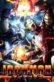 Железный человек (2010)