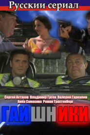 Гаишники (2008)