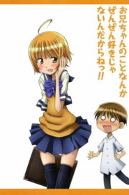 Я вовсе не люблю своего старшего брата! (2011)