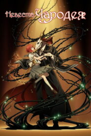 Невеста чародея (2017)