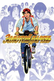 Золотой парень (1995)