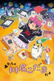 あたしゃ川尻こだまだよ〜デンジャラスライフハッカーのただれた生活〜 (2022)