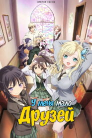 У меня мало друзей (2011)