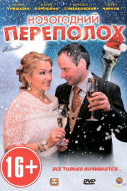 Новогодний переполох (2012)