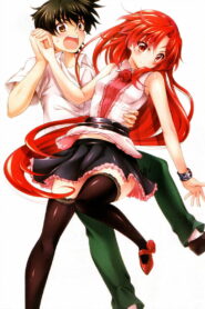 Говорю же, у меня не встает! (2012)