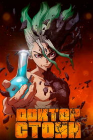 Доктор Стоун (2019)