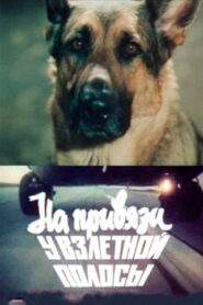 На привязи у взлетной полосы (1989)