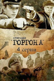 Операция «Горгона» (2011)
