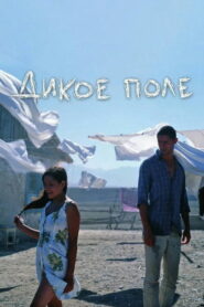 Дикое поле (2008)