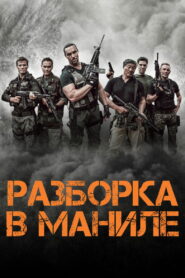 Разборка в Маниле (2016)