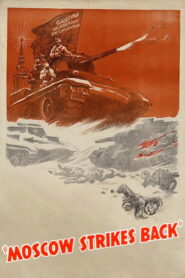 Разгром немецких войск под Москвой (1942)