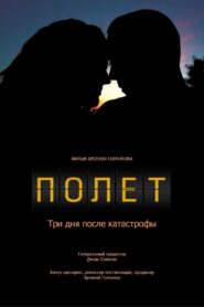Полет. Три дня после катастрофы (2013)
