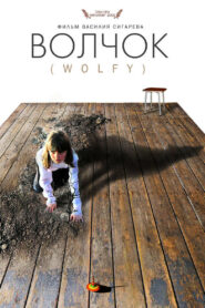 Волчок (2009)