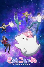 Kinokoinu Mushroom Pup (2024)