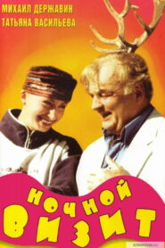 Ночной визит (1998)