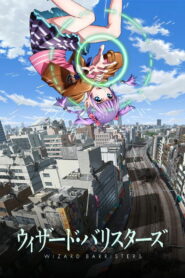 МАГИ В ЗАКОНЕ (2014)