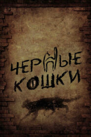 Чёрные кошки (2014)