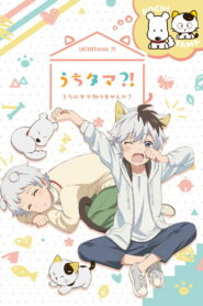 Тама: Откуда же он взялся? (2020)