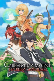 Сильнейший мудрец низшей эмблемы (2022)