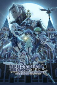 Перевоплотился в седьмого принца, так что я буду совершенствовать свою магию, как захочу (2024)