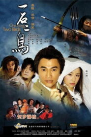 Одним камнем — двух птиц (2005)