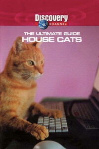 The Ultimate Guide: House Cats ()