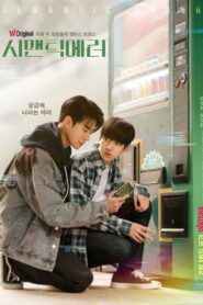 Логическая ошибка (2022)