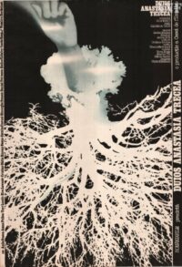 Duios Anastasia trecea (1980)