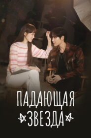 Падающая звезда (2022)
