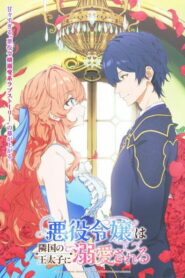 Принц соседней страны обожает злодейку (2026)