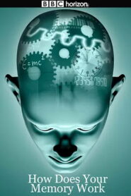 How Does Your Memory Work (2008)