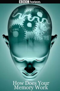 How Does Your Memory Work (2008)
