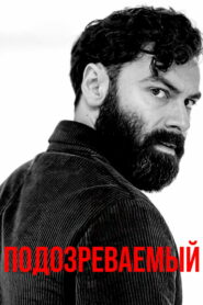 Подозреваемый (2022)