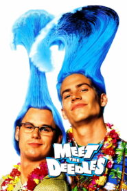 Вместе с Дидлами (1998)