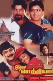 சின்ன வாத்தியார் (1995)