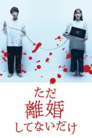 Мы просто не в разводе (2021)