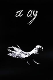 A Ay (1988)