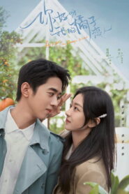 你好呀，我的橘子恋人 (2022)