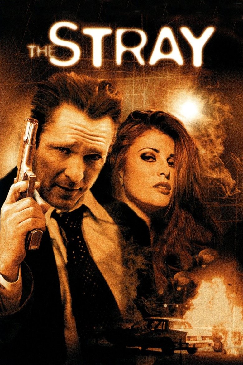 Бродяга (2000)